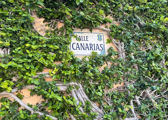 Сasa de vacaciones 4